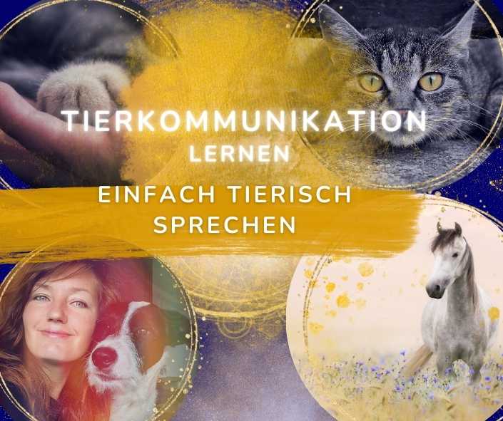 Tierkommunikation lernen