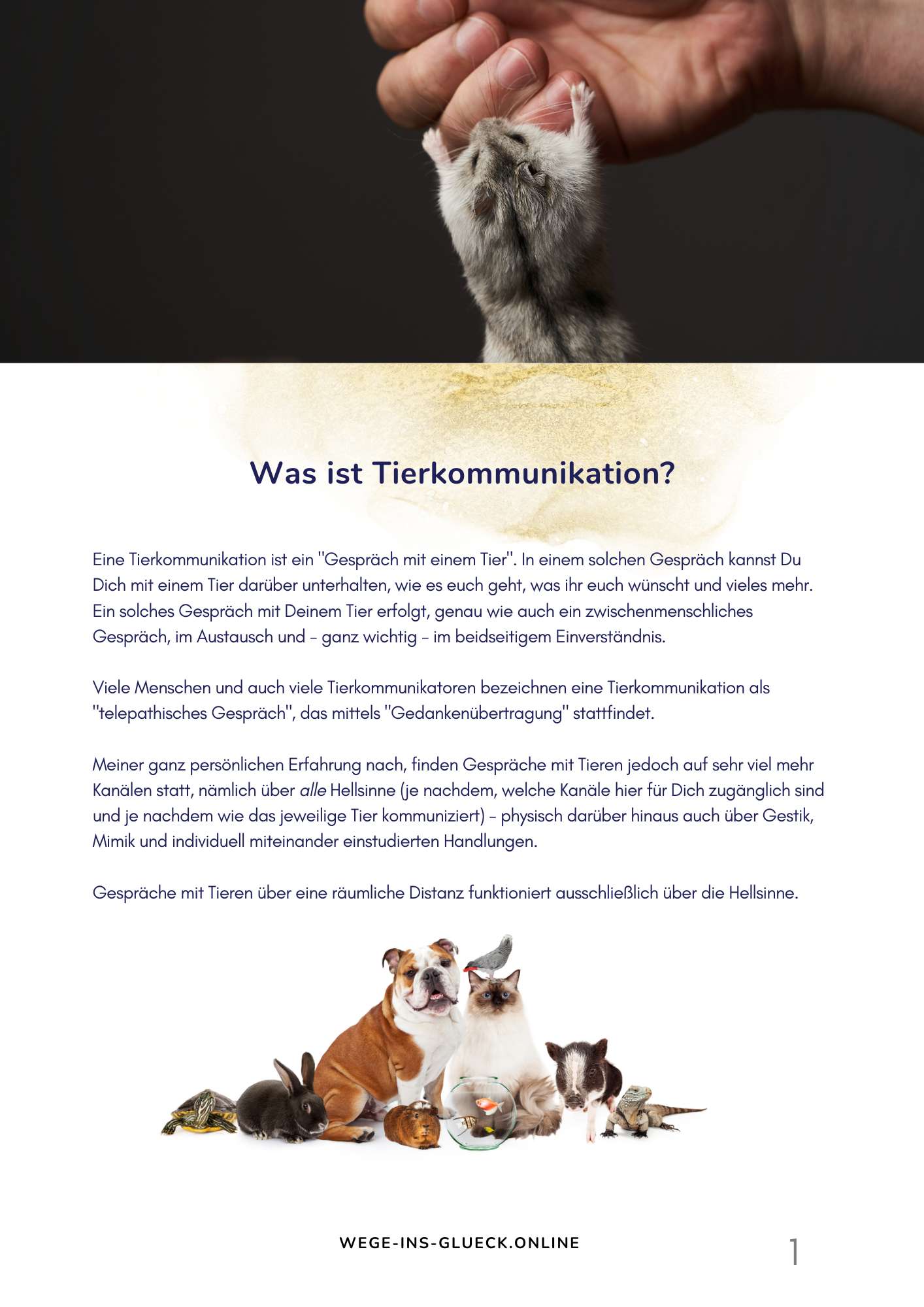 Was ist Tierkommunikation?