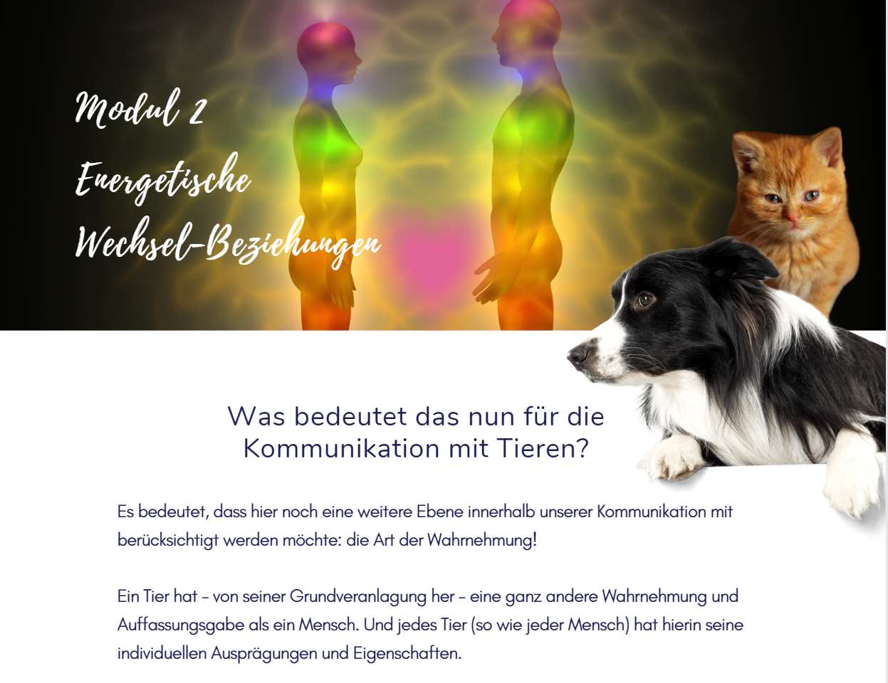 Tierkommunikation und Aura